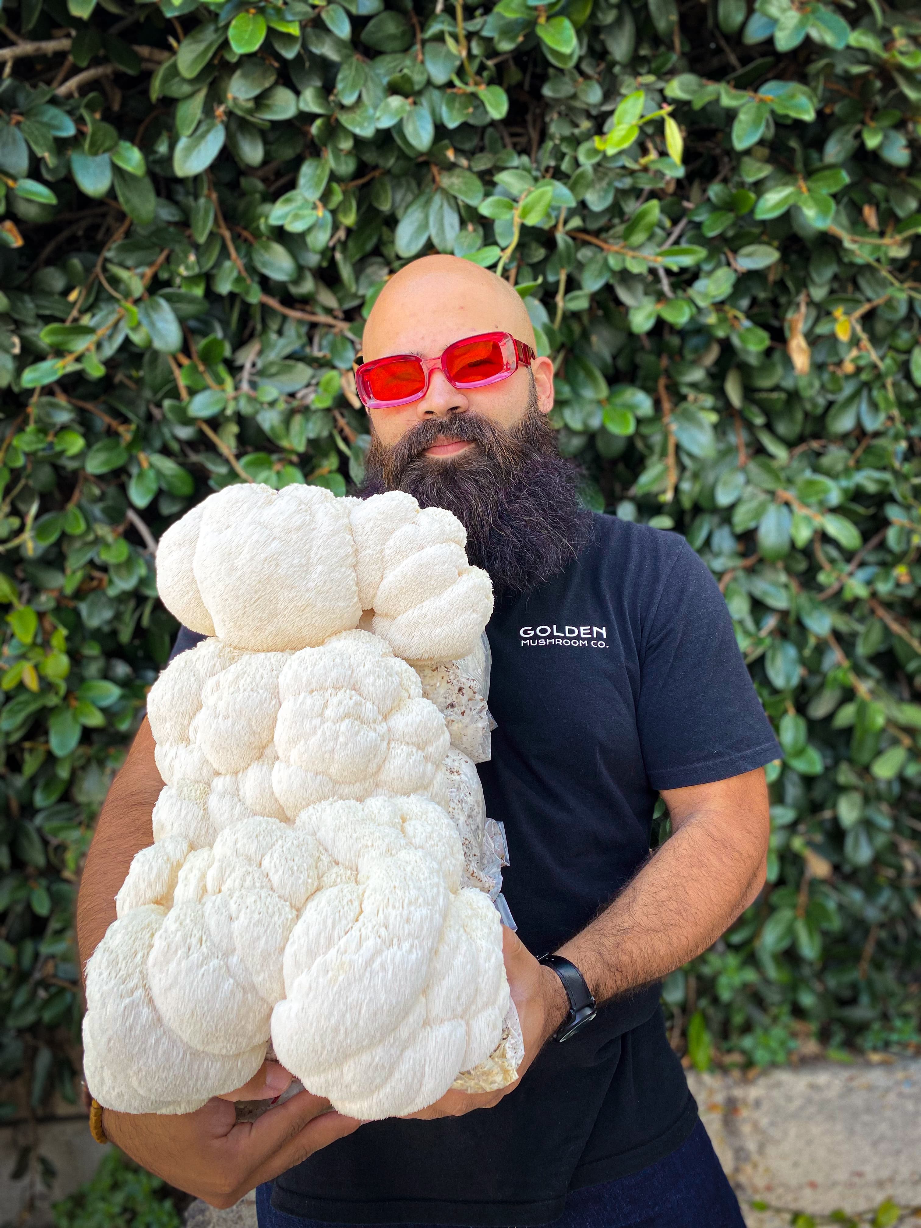 Model with lion's mane mushroom block